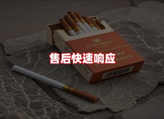专业团队